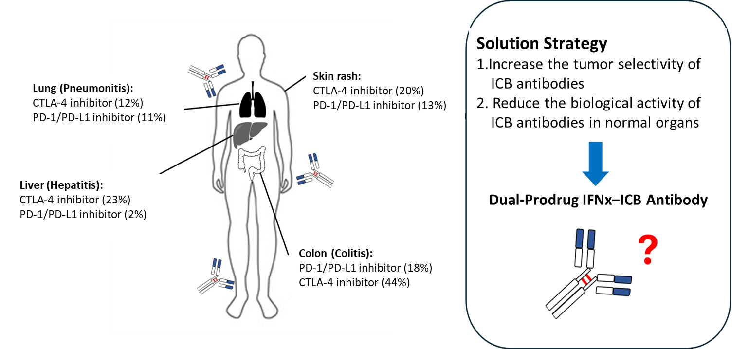 Developing a Dual Prodrug 01