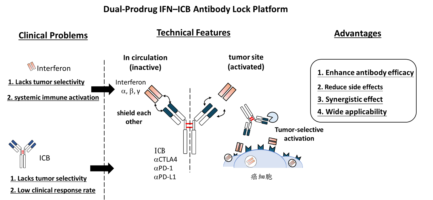 Developing a Dual Prodrug 02