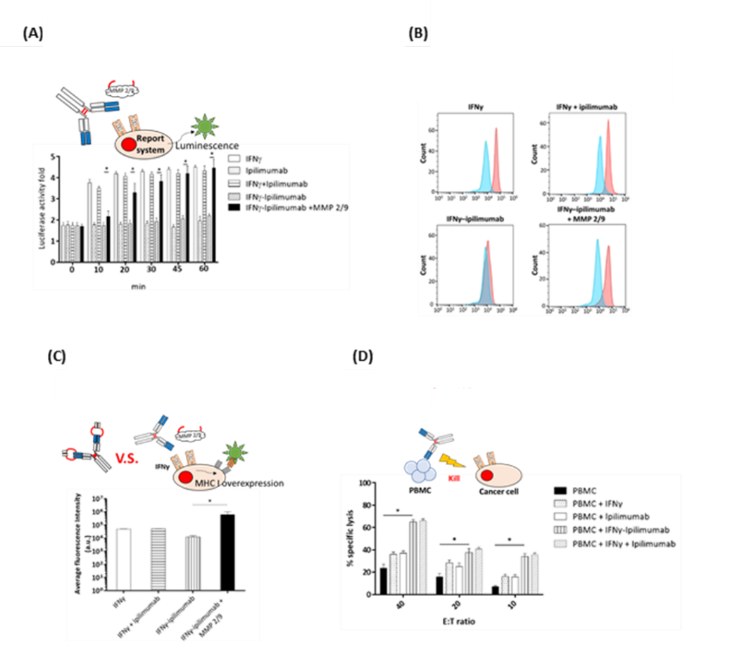 Developing a Dual Prodrug 04