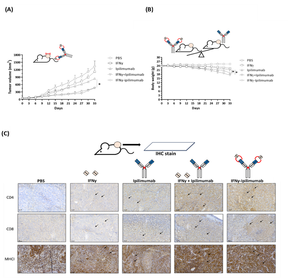 Developing a Dual Prodrug 05
