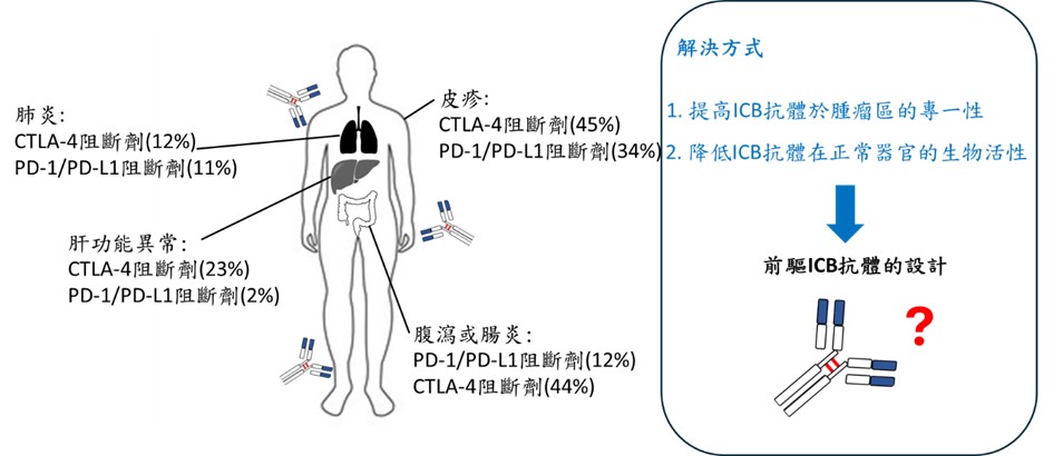 開發雙前驅 01